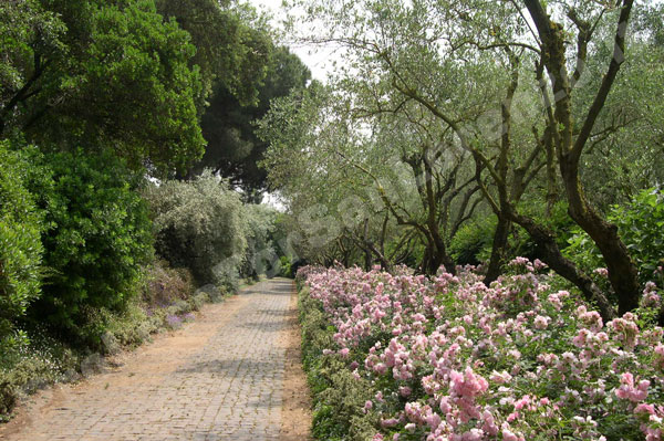 I-giardini-della-Landriana