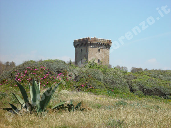 La torre