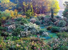 Giardini della Landriana