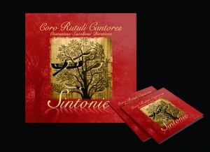 Cop Sintonie 1