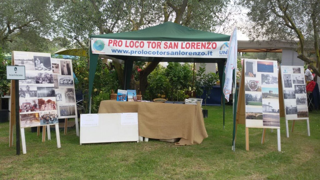 landriana 2015 (6)